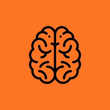 brain icon