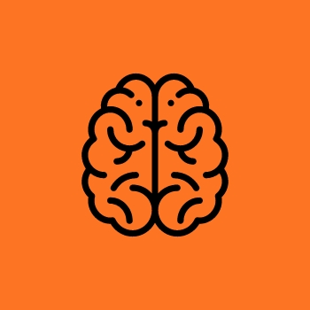 brain icon