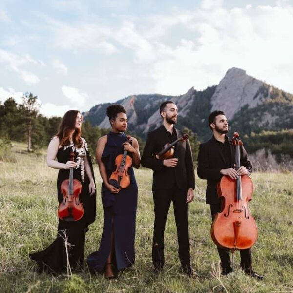 string quartet in a field in front of a mountain