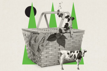 a picnic basket with cows